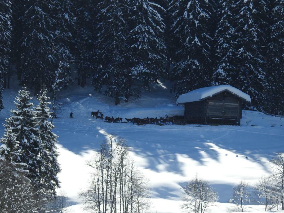 Apartamento Blockhaus Ganschitter Grossarl Exterior foto